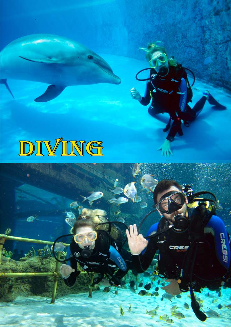Dalış (Diving)